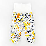 Комплект для немовлят 3 в 1 з начосом з єнотиками Raccoon, фото 6