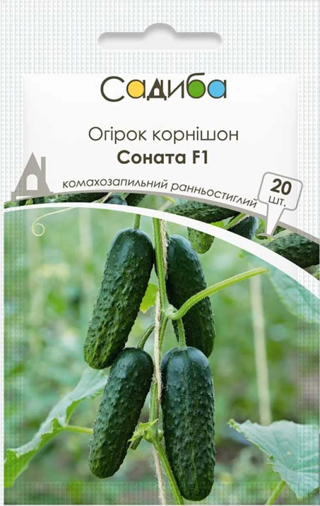 Огірок Соната F1, 20 шт., Садиба, фото 1