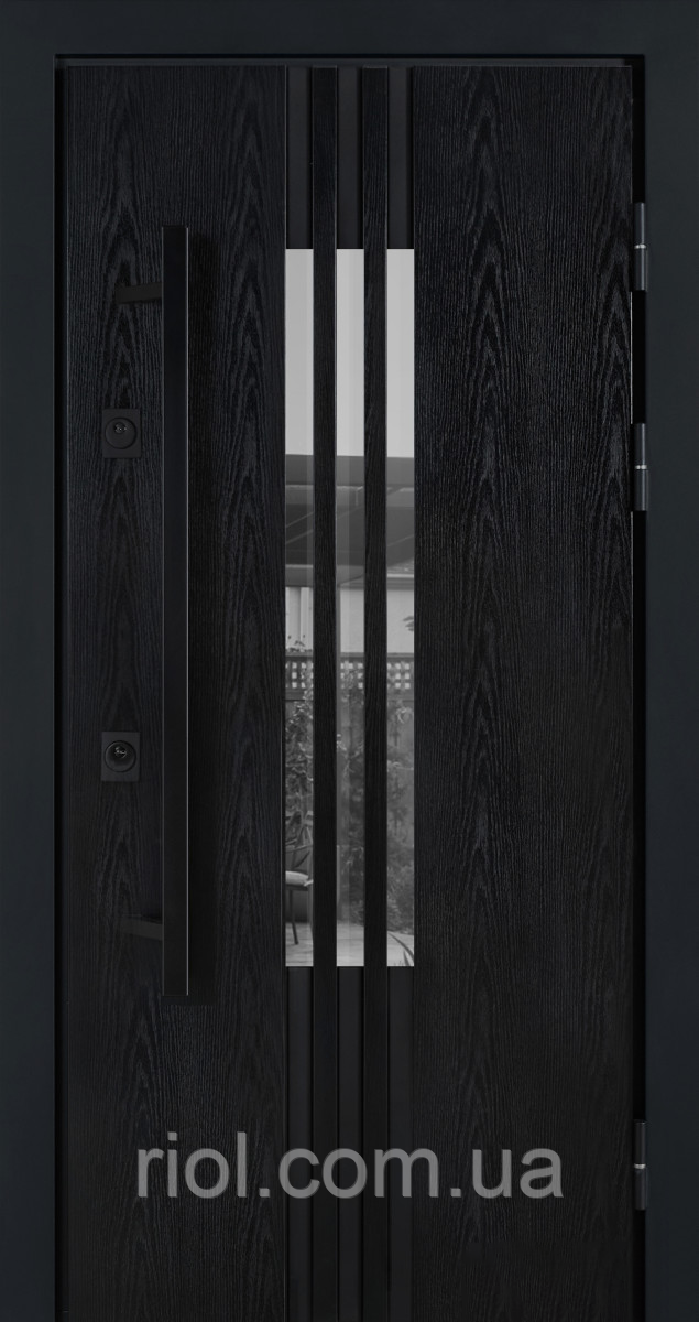 Вхідні двері з терморозривом Revolution Текстура 2025 року Замки Mottura, фото 1
