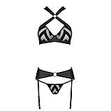 Сітчастий набір бюстгальтер трусики пояс для панчіх Passion HIMA стильний комплект для романтичного вечора, фото 3