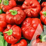 Перець солодкий Топ гриль, 0,1 г, Садиба, фото 3