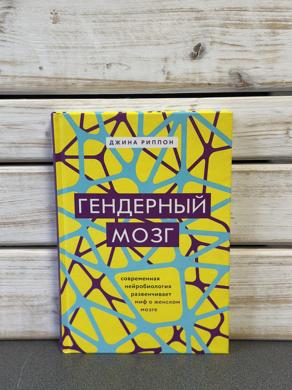 Джина Ріппон "Гендерний мозок. Сучасна нейробіологія розвінчує міф про жіночий мозок"