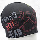 Шапка (hth-013) Punk’s Not Dead (череп з ірокезом), фото 2