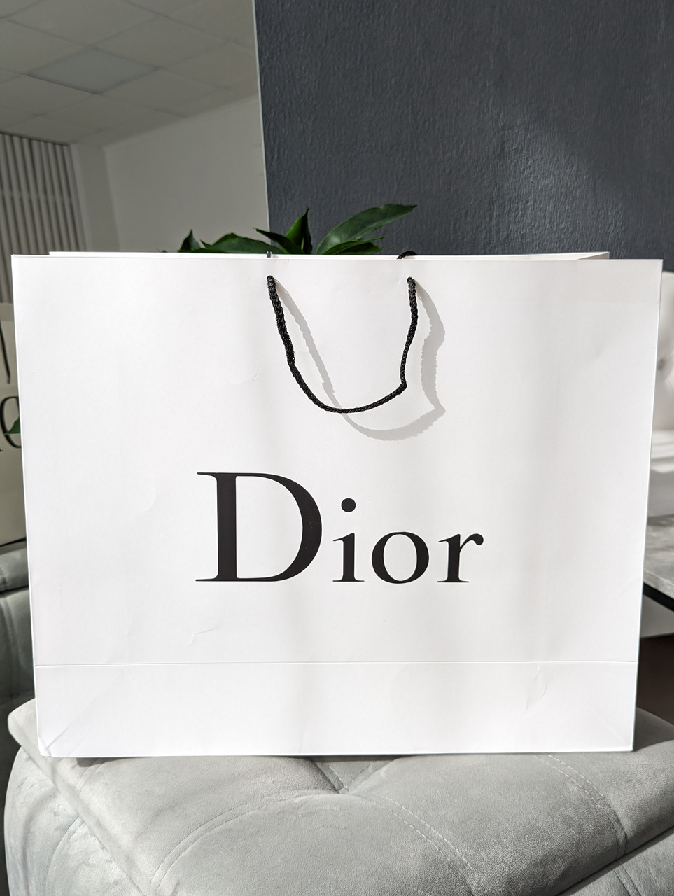 Фірмове паковання великий пакет Christian Dior, паковання на подарунок. Подарункова брендова упаковка Діор, фото 1