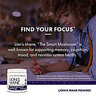Їжовик гребінчастий Host Defense Lion's Mane Mushroom Mycelium Powder 100 g, фото 4