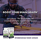 Формула для мозку Host Defense MycoBotanicals Brain 60 Capsules, фото 4