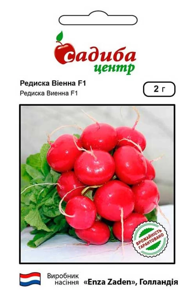 Редиска Вієнна F1, 2 г, СЦ, фото 1