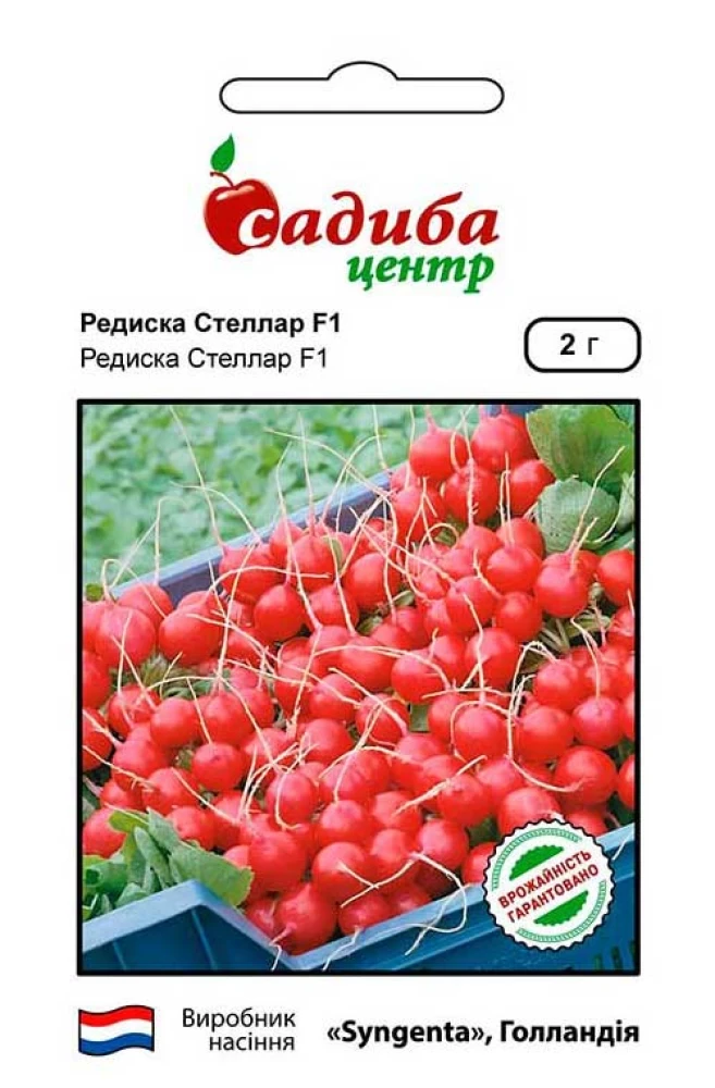 Редиска Стеллар F1, 2 г, СЦ, фото 1