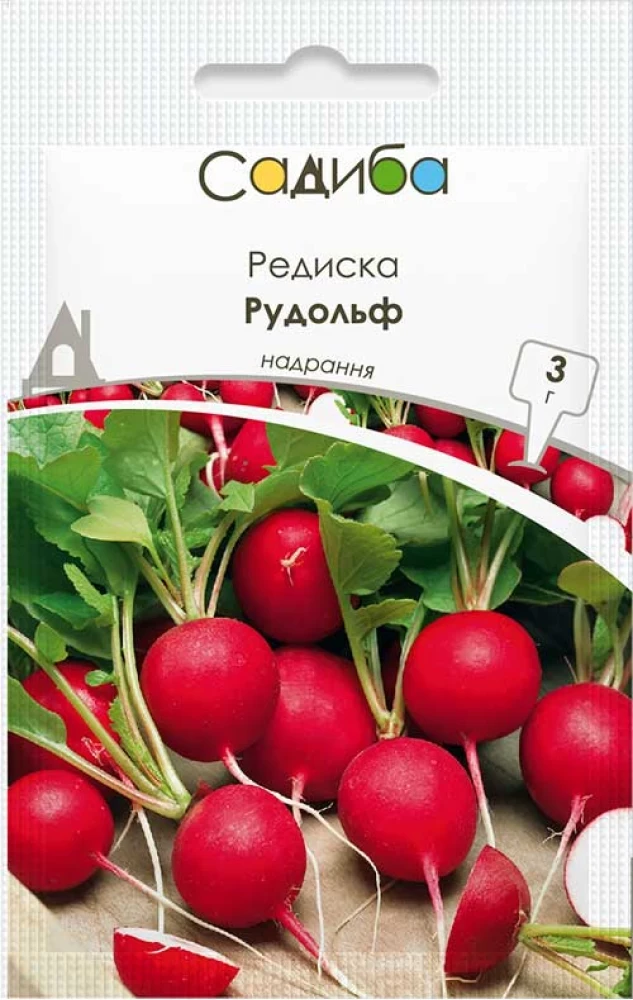 Редиска Рудольф, 3 г, Садиба, фото 1