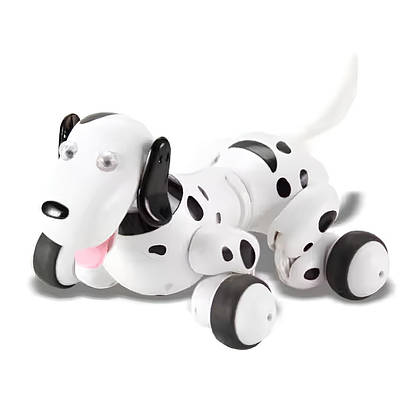 Кумедне робо цуценя далматинець дитині з р/у Іграшкова собачка вихованець виконує команди сідає танцює гавкає