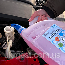 Очищувач скла Зимовий Фазеліс Premium Яблуко -20 °С 4 л, фото 5