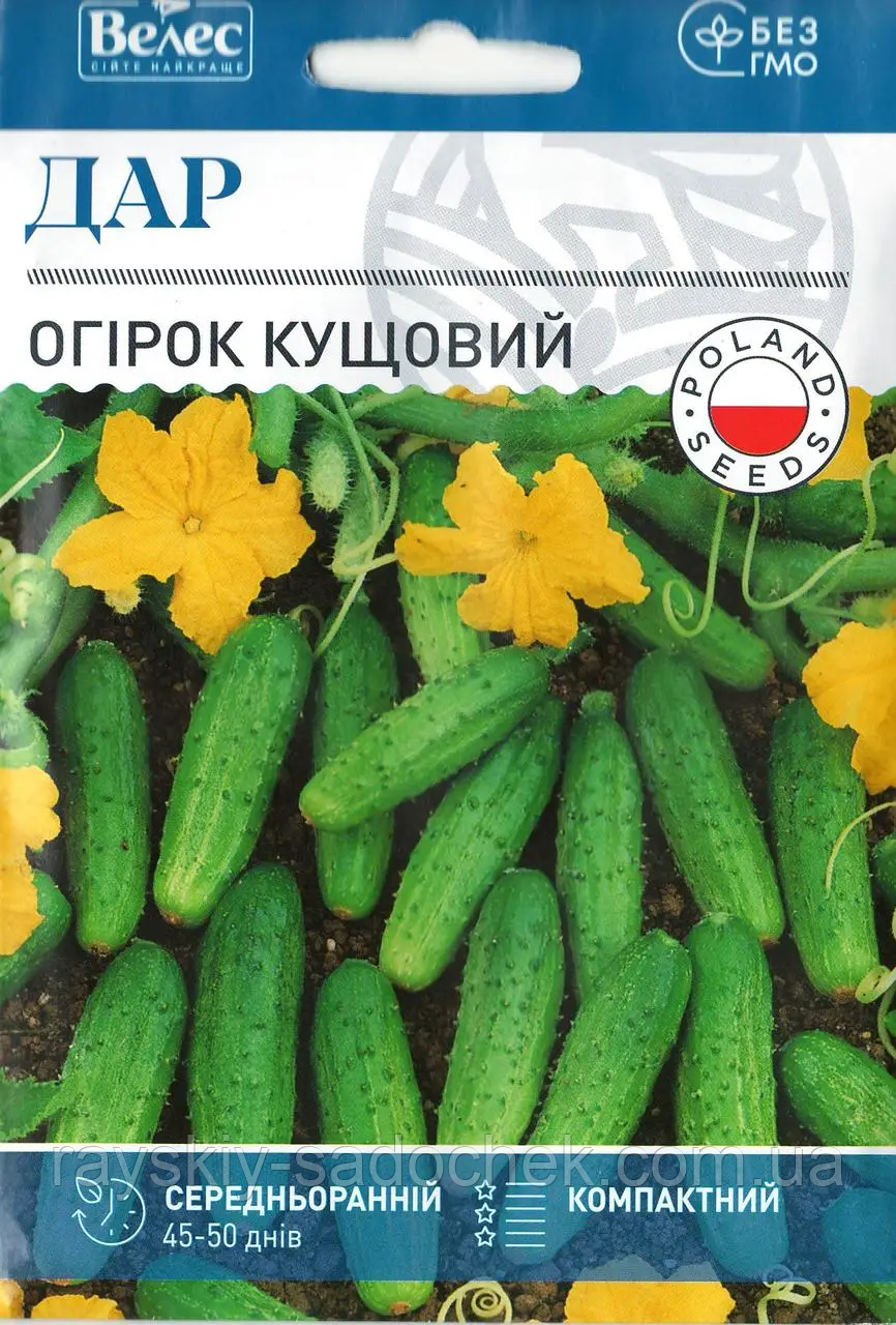 Насіння огірка Дар 2.5г.Середньоранній.