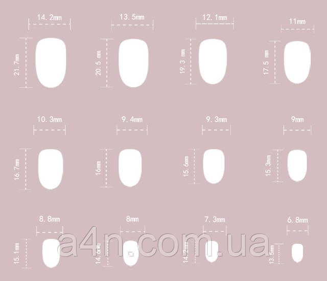 Накладні нігті - Інтернет-магазин A4N Розміри накладних нігтів