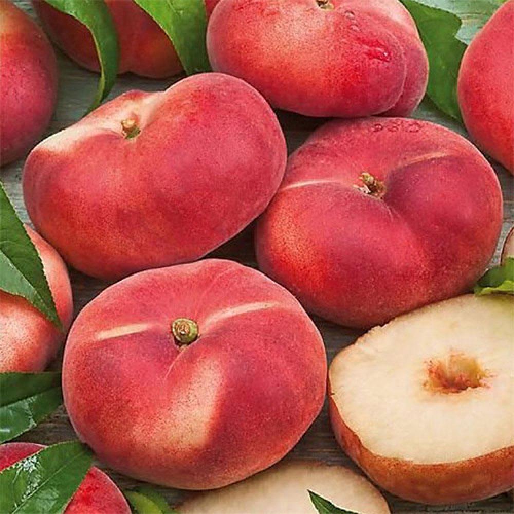 Інжирний персик "Світ Кап" (дуже солодкий сорт, насиченого медового смаку), фото 1