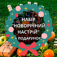 Набір сиропів Maribell "Новорічний настрій", 9 смаків