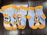 Дитячі шкарпетки, травичка. р 18-22, фото 3