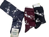 Шкарпетки жіночі "Коти" 23-25р. (12 пар!) (Демісезонні), фото 2