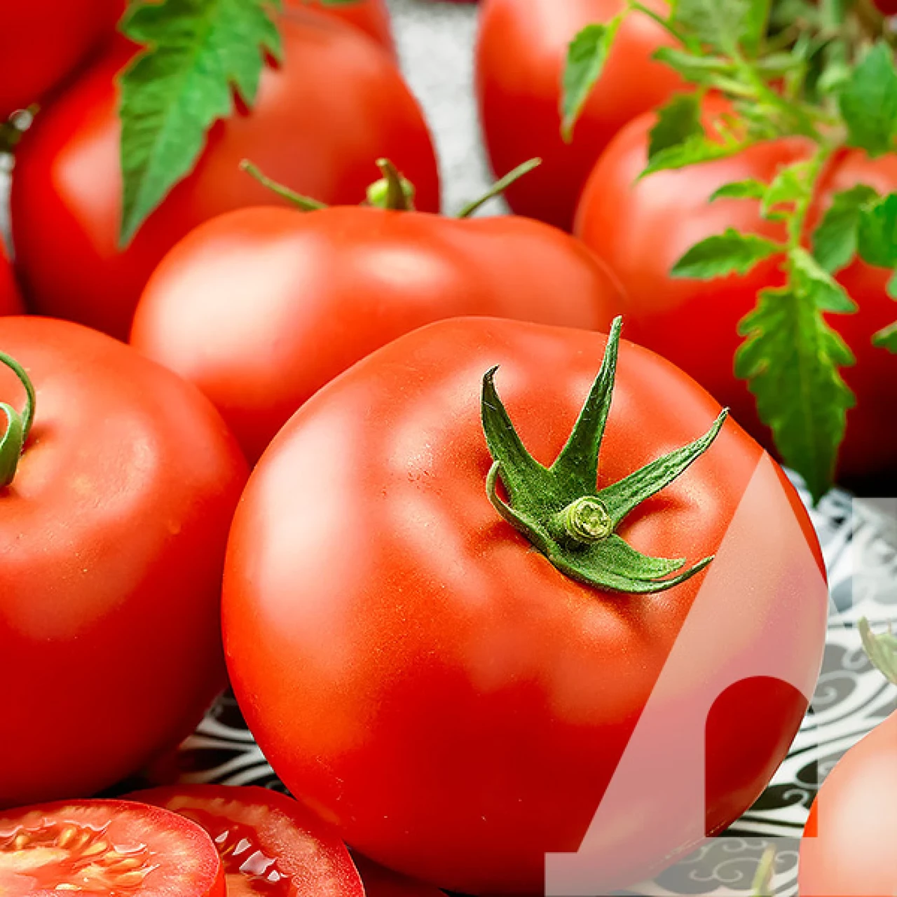 Томат Загадка, 0.1 г, Садиба, фото 1