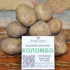 Насіннєва картопля Коломбо, 2 репродукція