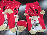 Носки дитячі махрові, р.18-20, фото 2