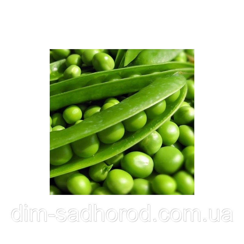 Горох СОМЕРВУД | SOMERWOOD Syngenta 100 г, фото 1