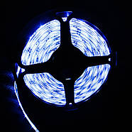 Світлодіодна стрічка 4040SMD 60LedS/m  6500K 8 Вт (10м/бабина), фото 3