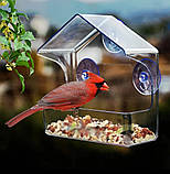 Годівниця для птахів на присосках на вікно!, фото 3