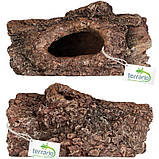 Декорація укриття Terrario Wood Cave S 14x9x7см (15108), фото 8