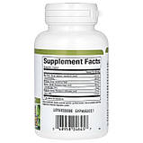 Очищення печінки і жовчного міхура Liv-Gall Cleanse 90 капс Natural Factors Канада, фото 2