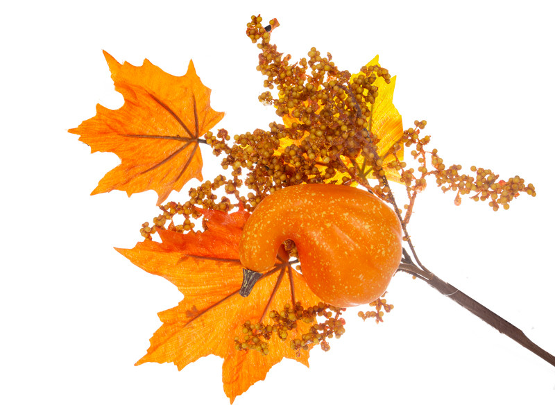 Гілочка декоративна 40 см (пластик), фото 1