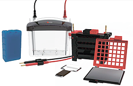 Набір переносу для електрофорезу DL-ZY04