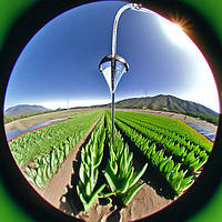 Крапельний полив