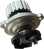 Насос водяний (помпа) заз 1102 таврія славута 1103, фото 4