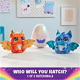 Інтерактивна іграшка Hatchimals Драко в яйці Хетчималс Hatchimals Alive, Mystery Hatch Draggle, фото 5