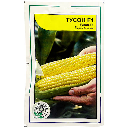 Насіння кукурудзи цукрової "Тусон" F1, 5 г. Syngenta, Голландія, фото 1
