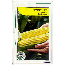 Насіння кукурудзи цукрової "Тусон" F1, 5 г. Syngenta, Голландія
