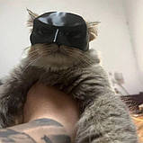 Маска для кота Бетмен Batman Batcat котяча, фото 6