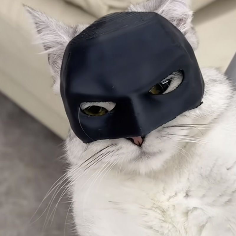 Маска для кота Бетмен Batman Batcat котяча