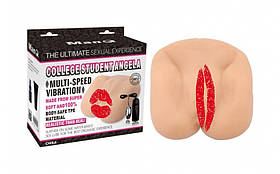 Вагіна реалістична Chisa ManQ College Student Angela, з вібрацією, 18 см х 17 см