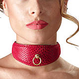 Нашийник із кільцем NO TABOO, фото 3