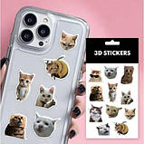 3D стікери "Fanny cats mems", фото 3