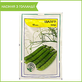 Сорт гороху середньораннього "Ідалго", 10 г. Насіння від Syngenta, Голландія