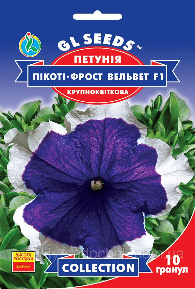 Насіння Петунії F1 Пікоті Фрост Вельвет Велика квітчаста 10 гранул GL Seeds, фото 1