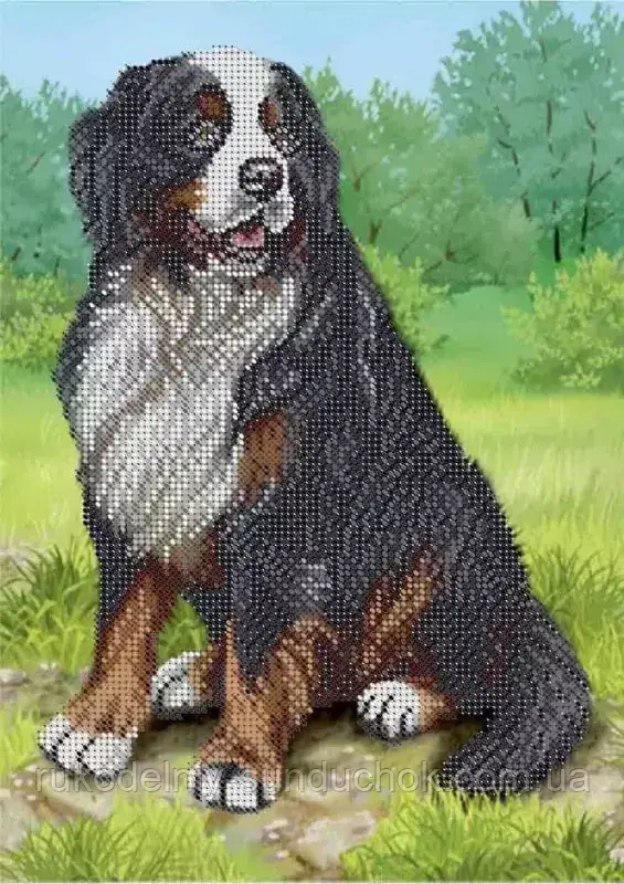 Схема для вишивання бісером ТМ Acorns Бернський зенненхунд А4-К-1218, фото 1