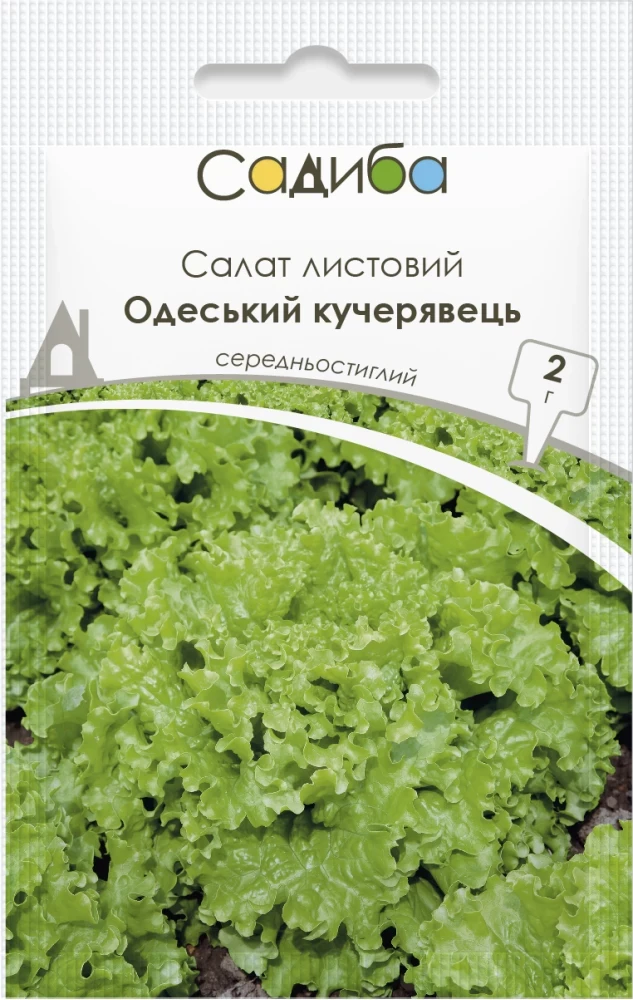 Салат листовий Одеський кучерявець, 2 г, Садиба, фото 1