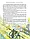Тореадори з Васюківки. Таємниця трьох невідомих. Книга 3, фото 3