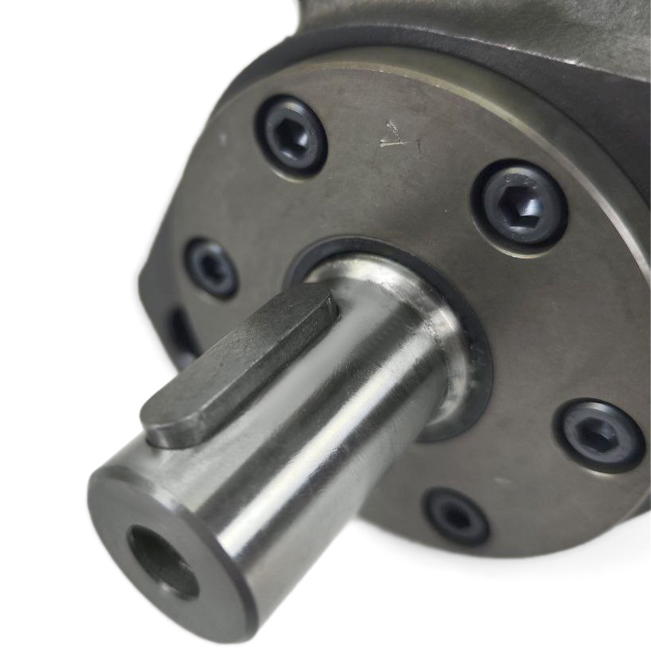 Гідромотор героторний MP 125 C M+S Hydraulic, фото 1