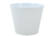 Вазон Ібіс подвійний біла роза-білий 15*13