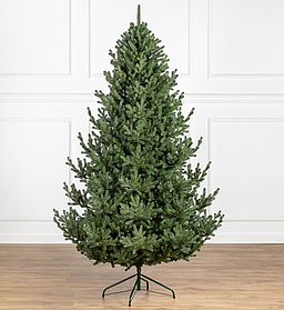 Ялинка лита "Міланська" Зелена 3,00м