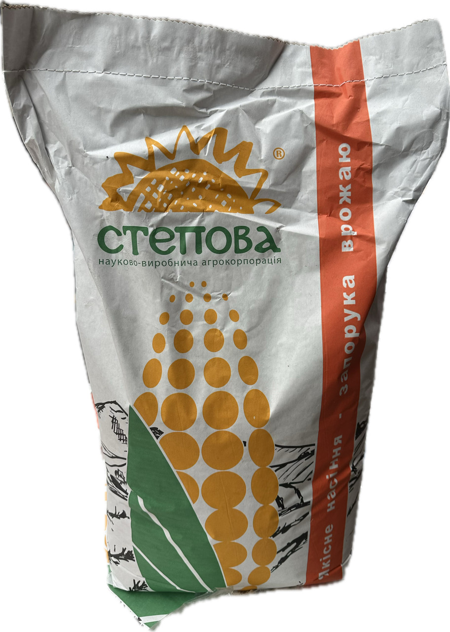 Насіння кукурудзи РАМ 8149 ФАО 280 Степова, фото 1